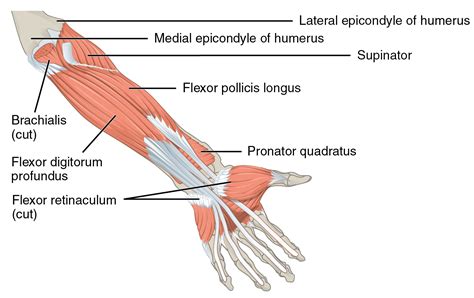 extension suomeksi .